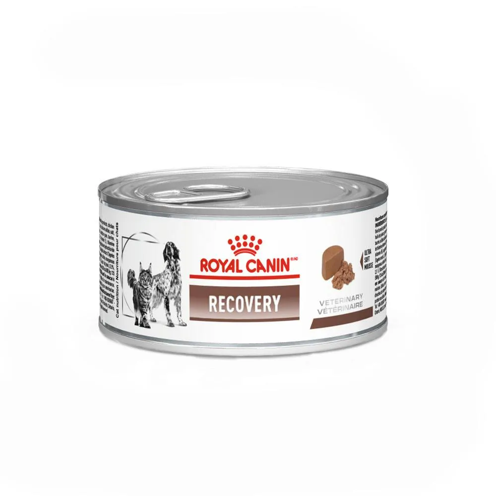 Ração Úmida Royal Canin Lata Recovery para Cães e Gatos em Recuperação 195g